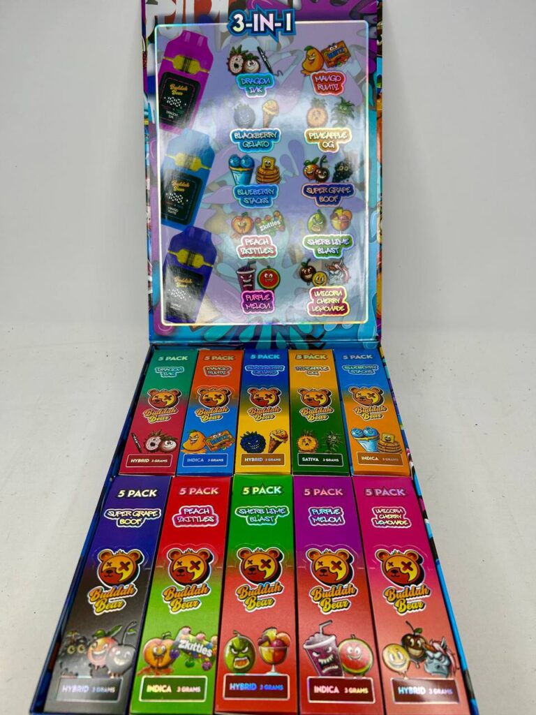 buddah bear 3 in 1