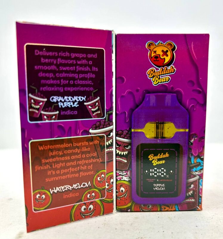buddah bear 3 in 1