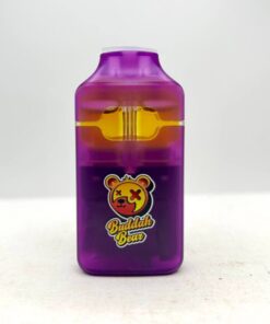 buddah bear 3 in 1