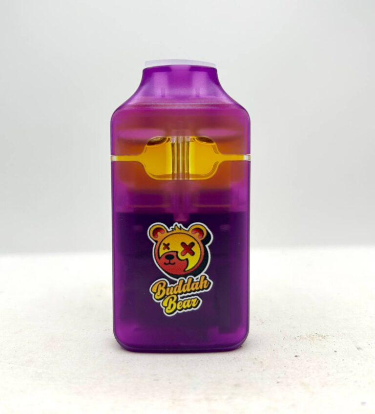 buddah bear 3 in 1