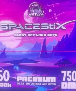 dmteam spacestix