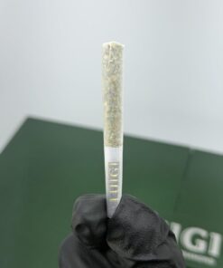 luigi 2g series 8
