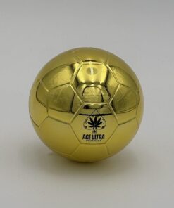 Ace Ultra 2G World Cup Edition